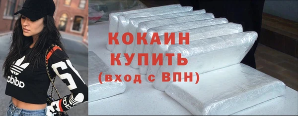 сатива Горняк