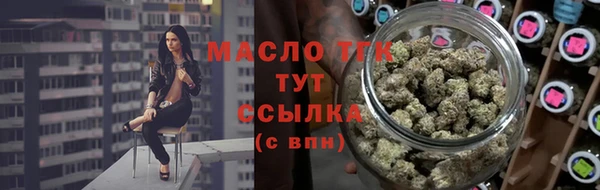 индика Вяземский