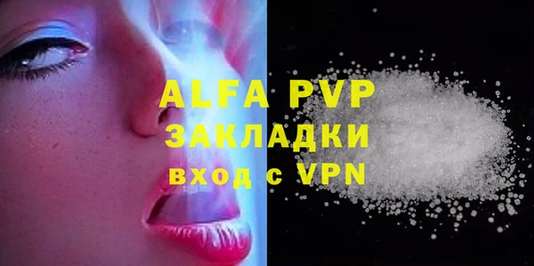 индика Вяземский