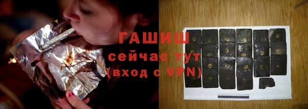 индика Вяземский