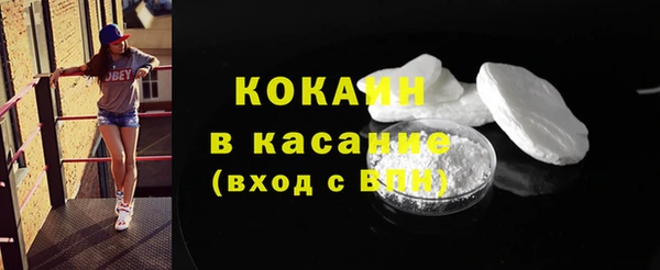 индика Вяземский