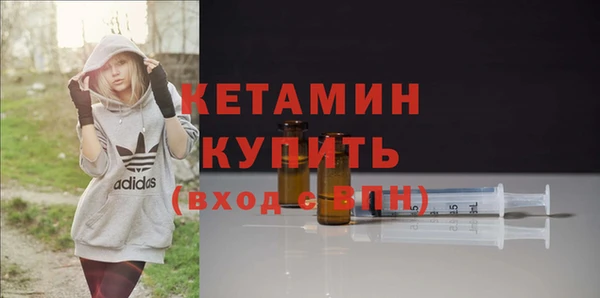 индика Вяземский