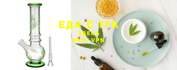 индика Вяземский