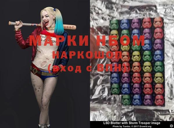 индика Вяземский