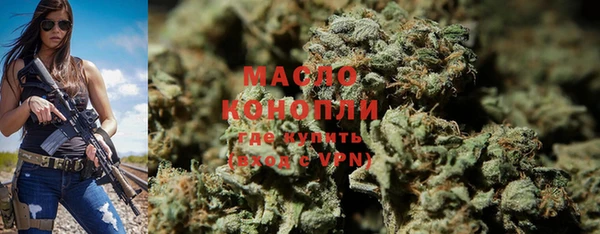 индика Вяземский