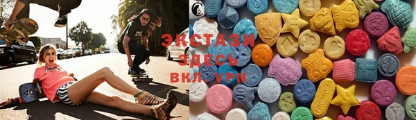 индика Вяземский