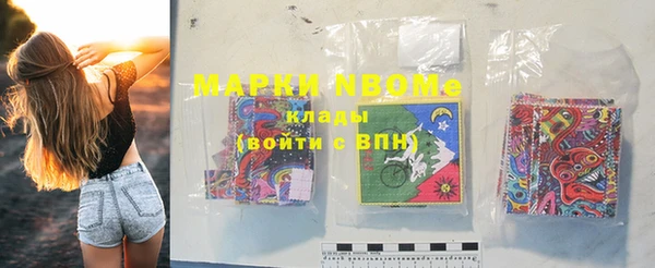 индика Вяземский