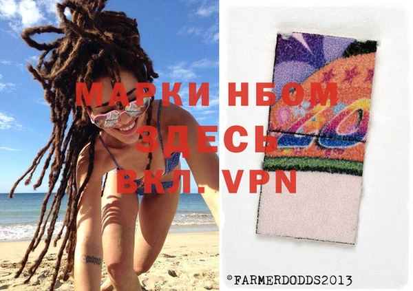 индика Вяземский