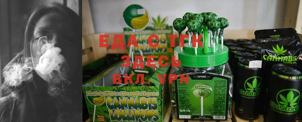 индика Вяземский
