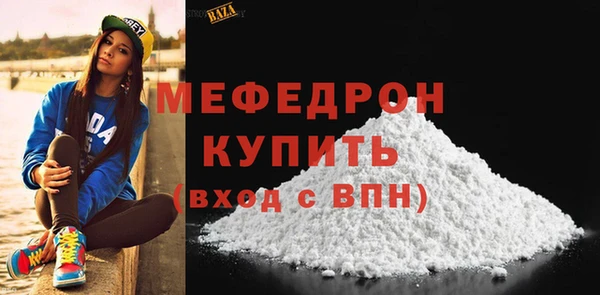 индика Вяземский