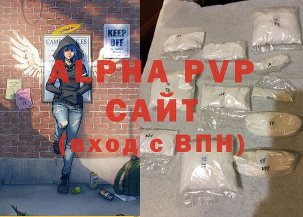 индика Вяземский