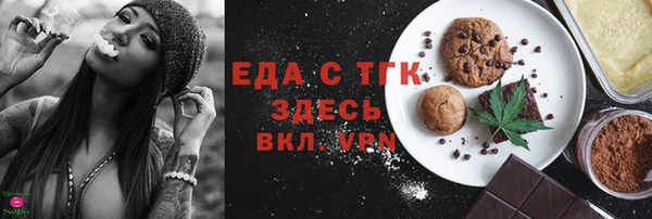 индика Вяземский